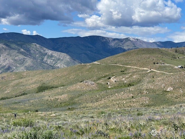 59 Bill Shaw Road Pateros, WA 98846 - Photo 3 of 24 a view of a field with an ocean
