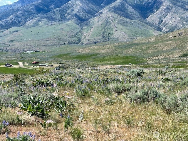 59 Bill Shaw Road Pateros, WA 98846 - Photo 5 of 24 a view of a lush green forest with lots of trees