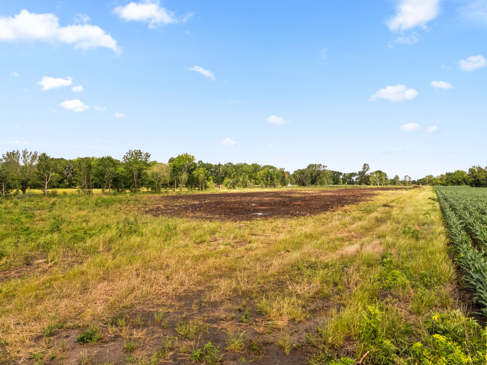 0 Modena School Road Rosenberg, TX 77471 - Photo 14 of 15