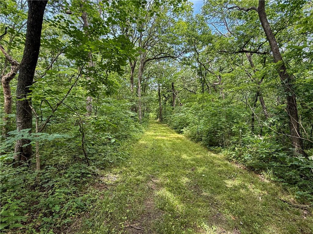 2163 East 500 Road Lecompton, KS 66050 - Photo 93 of 98
