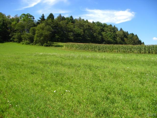 Ridge Road Andreas, PA 18211 - Photo 5 of 6 Gallery Image 5