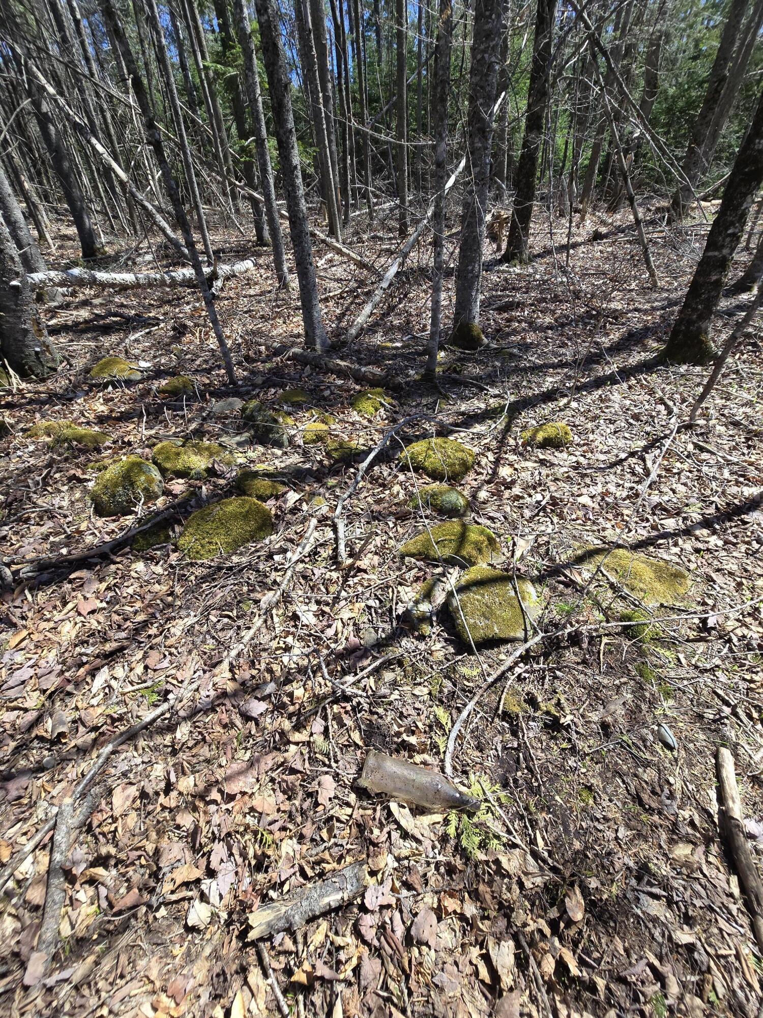 0 Grant Road Sangerville, ME 04479 - Photo 13 of 18 20250501_134508