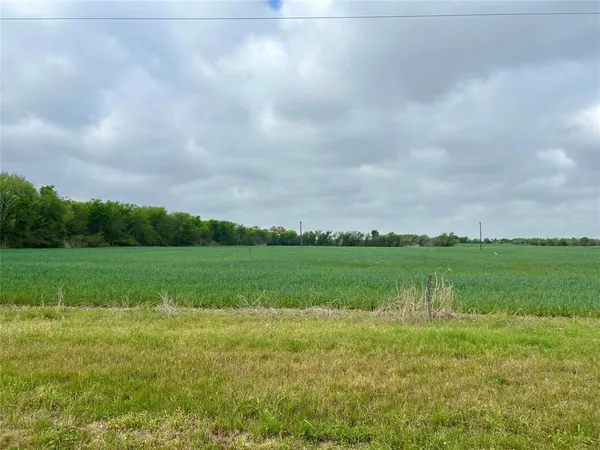 a view of a green field with clear sky