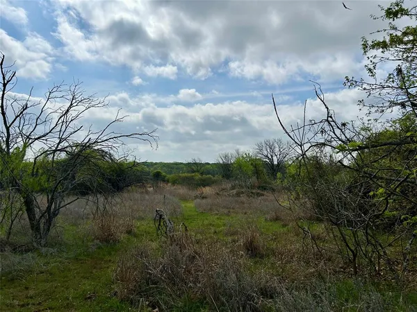 a view of a lake with a big yard