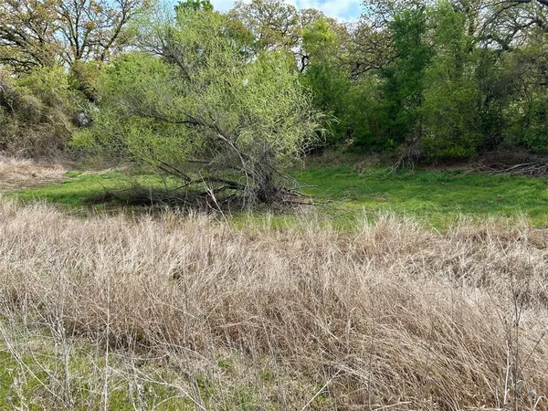 a view of a garden