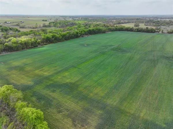 a view of a field with an ocean