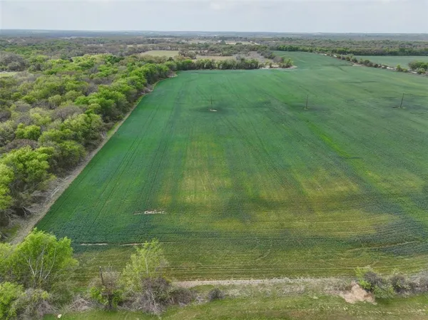 a view of a field with an ocean