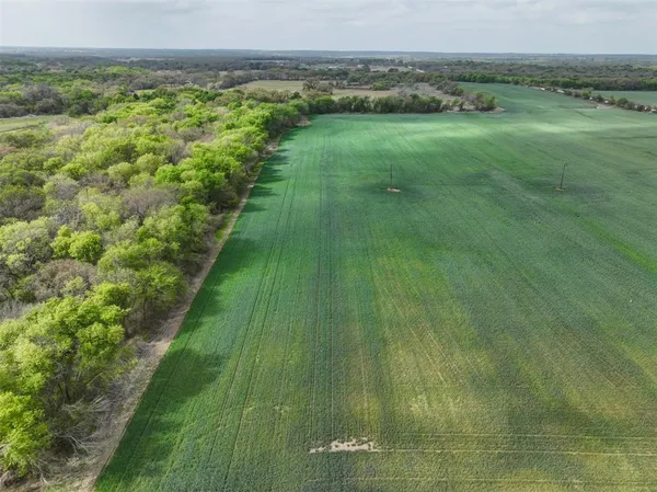 a view of a lush green space