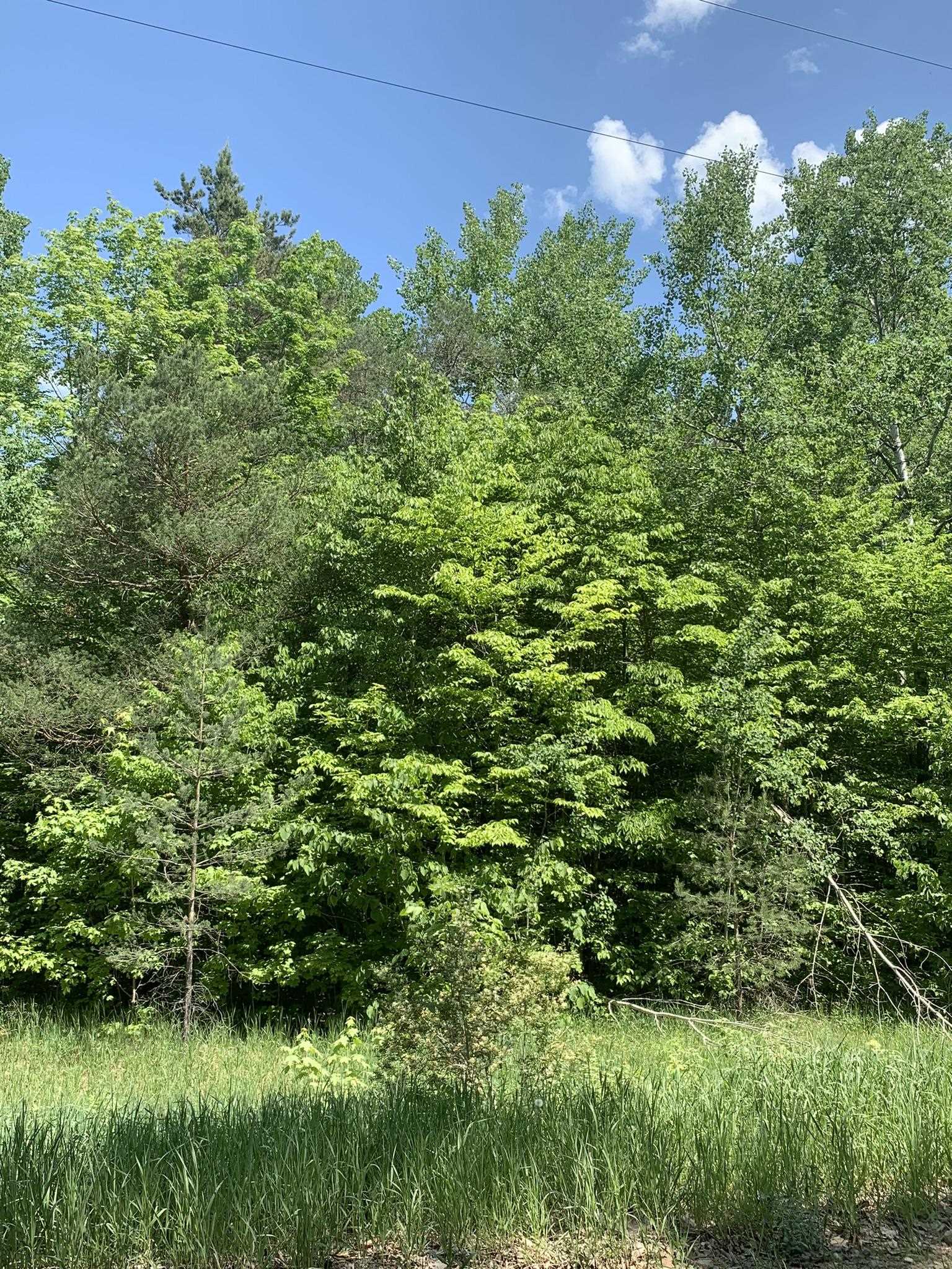 2 C Simpson Road Mancelona, MI 49659 - Photo 13 of 16 Gallery Image 13