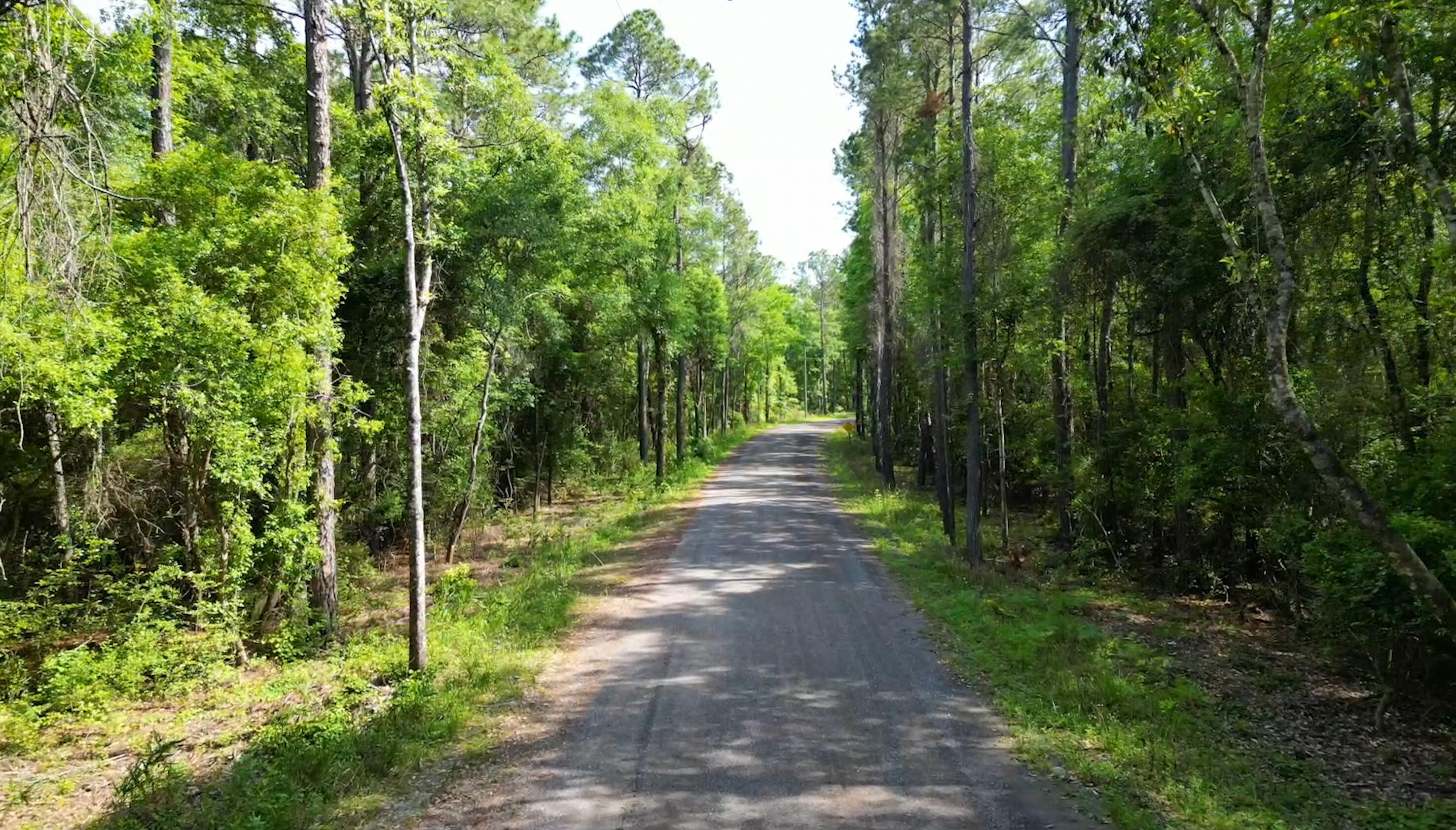 0 Piney Grove Church Road DeFuniak Springs, FL 32433 - Photo 2 of 7 a view of a pathway of a park