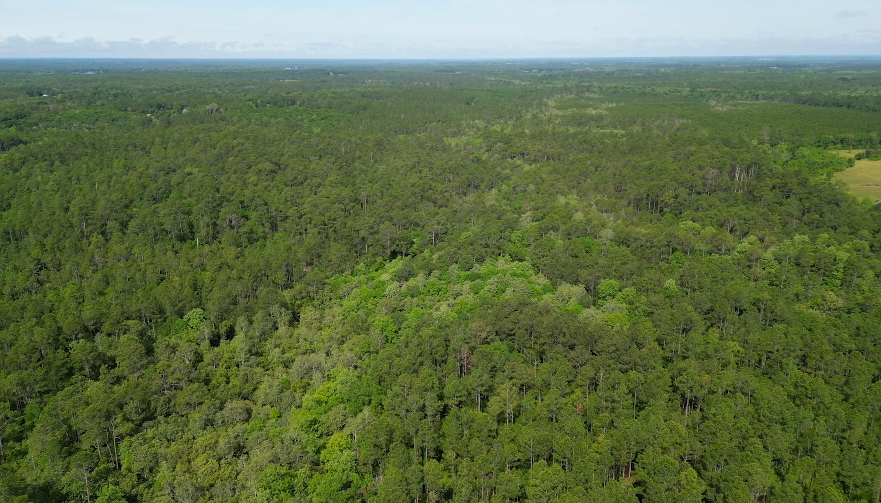0 Piney Grove Church Road DeFuniak Springs, FL 32433 - Photo 4 of 7 a view of a lush green space with sea