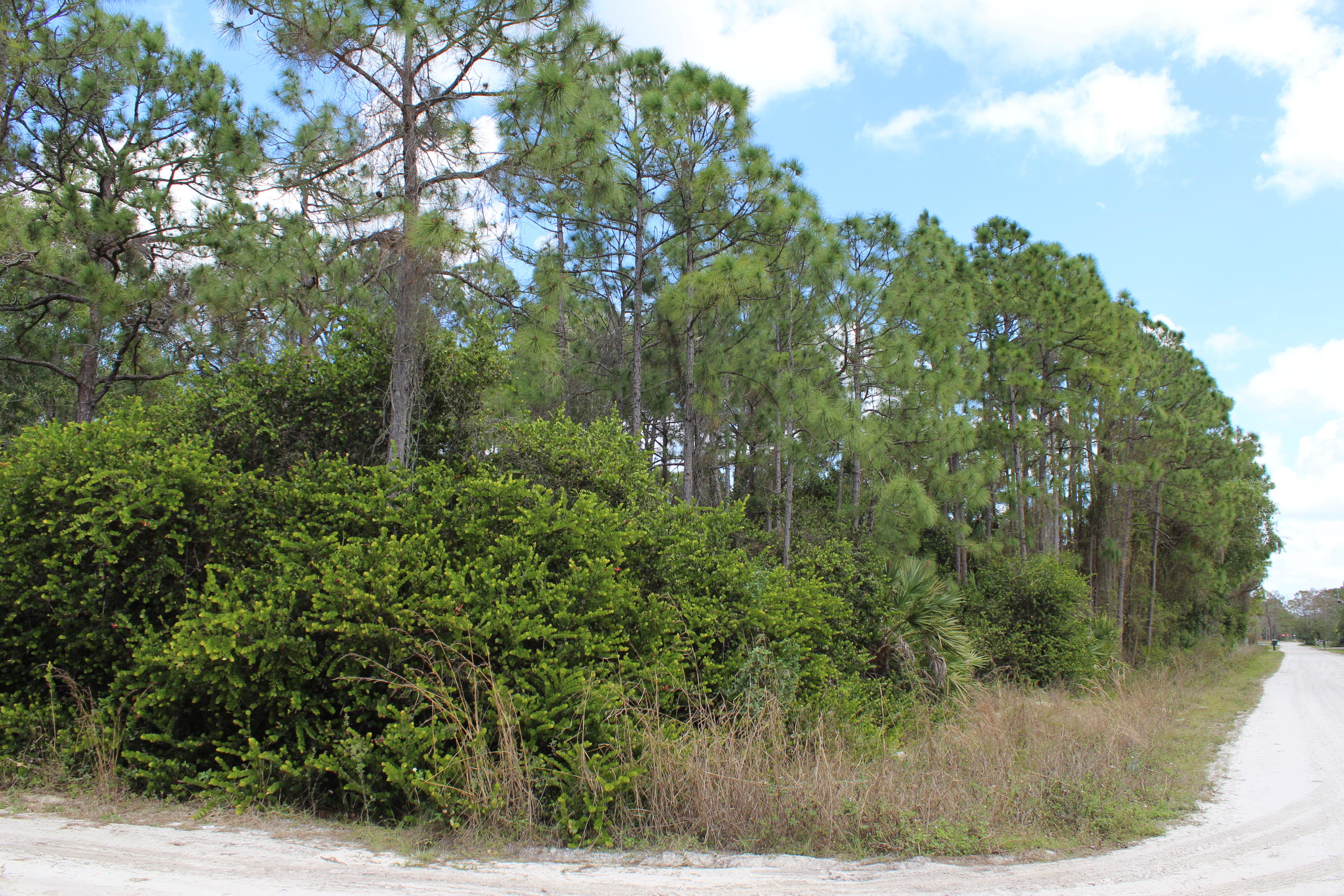 17228 78th Road North Loxahatchee, FL 33470 - Photo 4 of 11 005