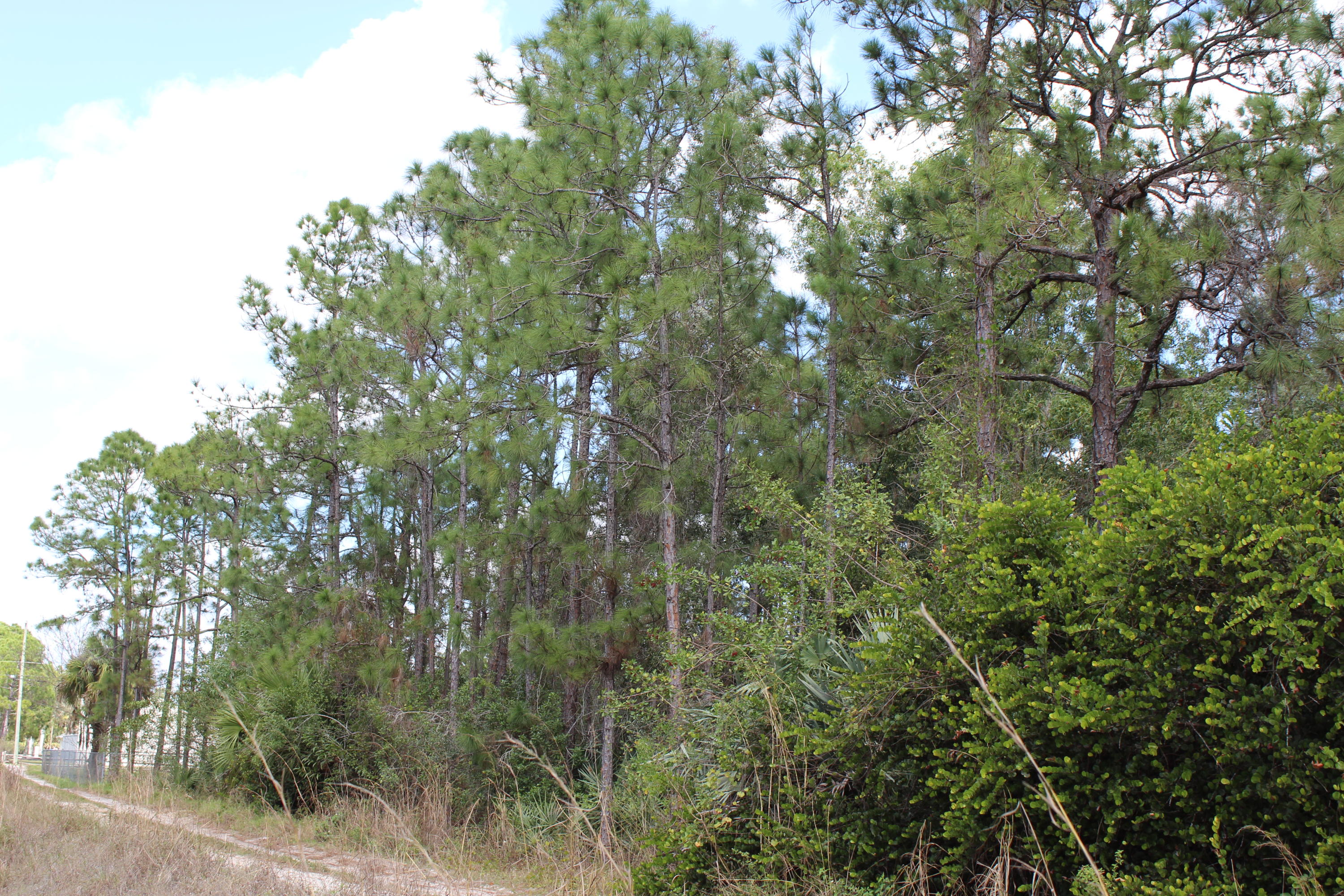 17228 78th Road North Loxahatchee, FL 33470 - Photo 8 of 11 004
