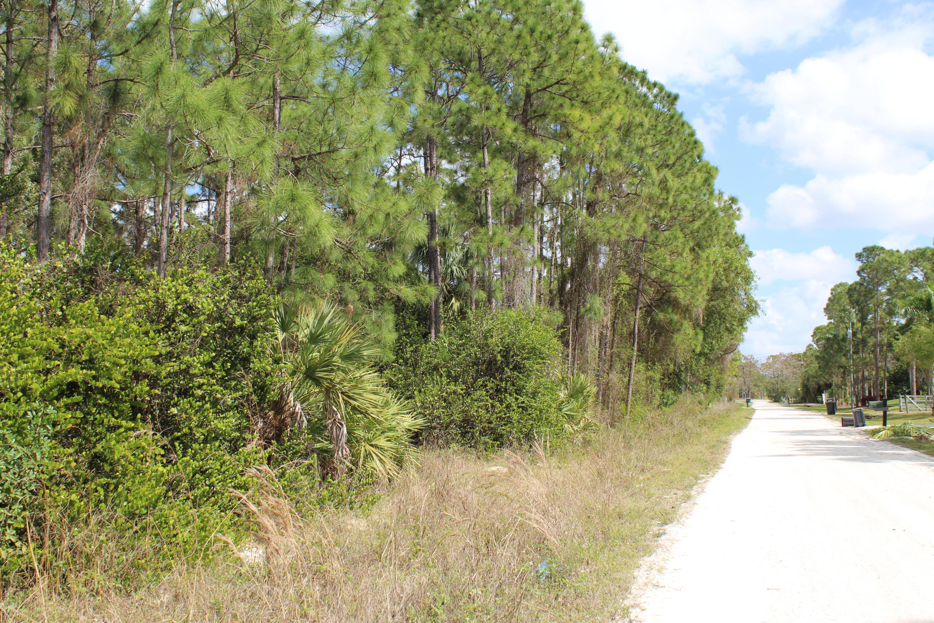 17228 78th Road North Loxahatchee, FL 33470 - Photo 9 of 11 024