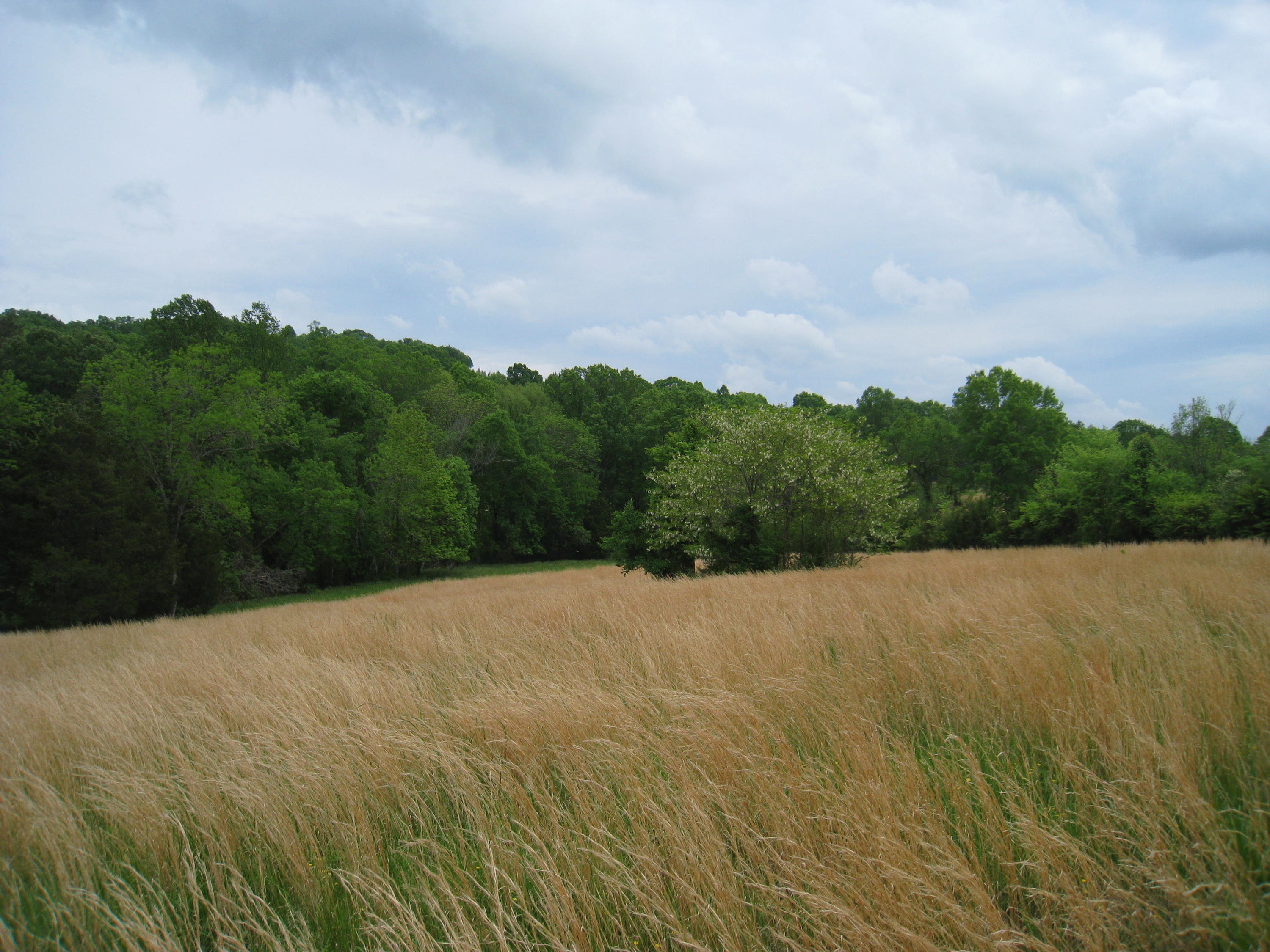 5015 Gamble Road Georgetown, TN 37336 - Photo 1 of 19 IMG_2423