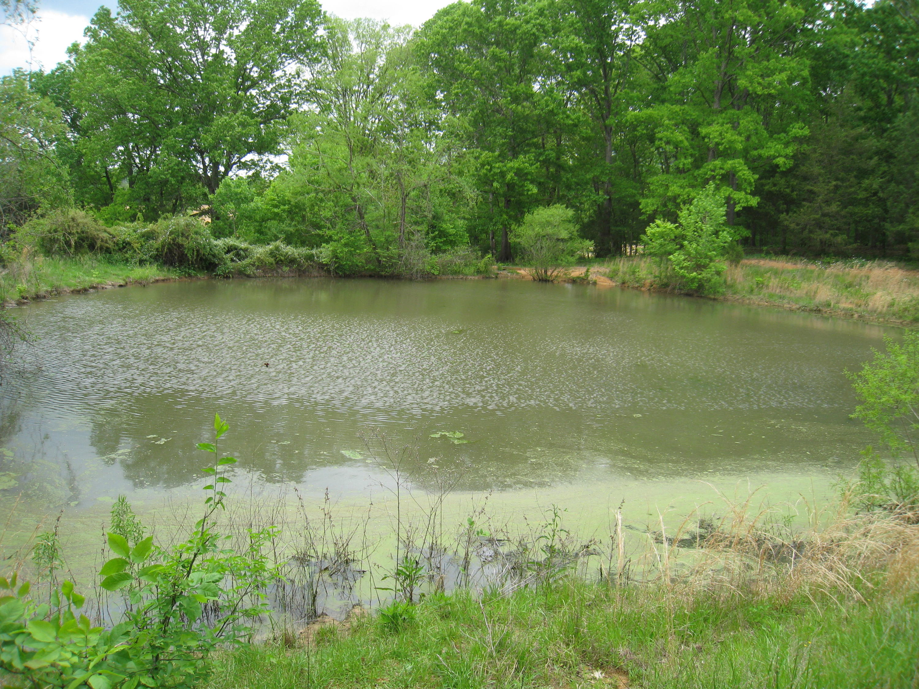 5015 Gamble Road Georgetown, TN 37336 - Photo 2 of 19 IMG_2429
