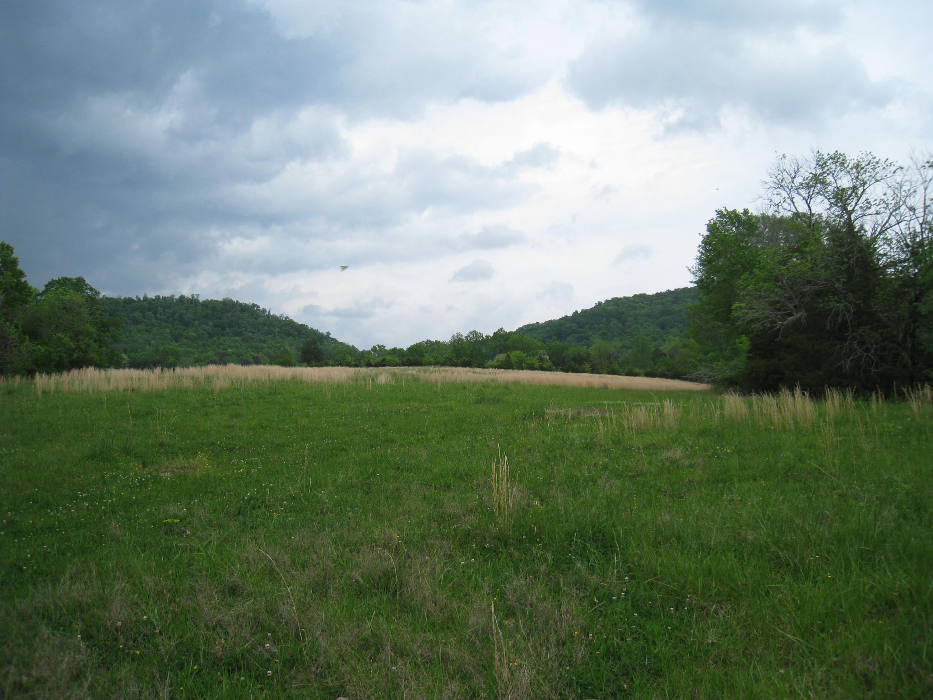 5015 Gamble Road Georgetown, TN 37336 - Photo 12 of 19 IMG_2412