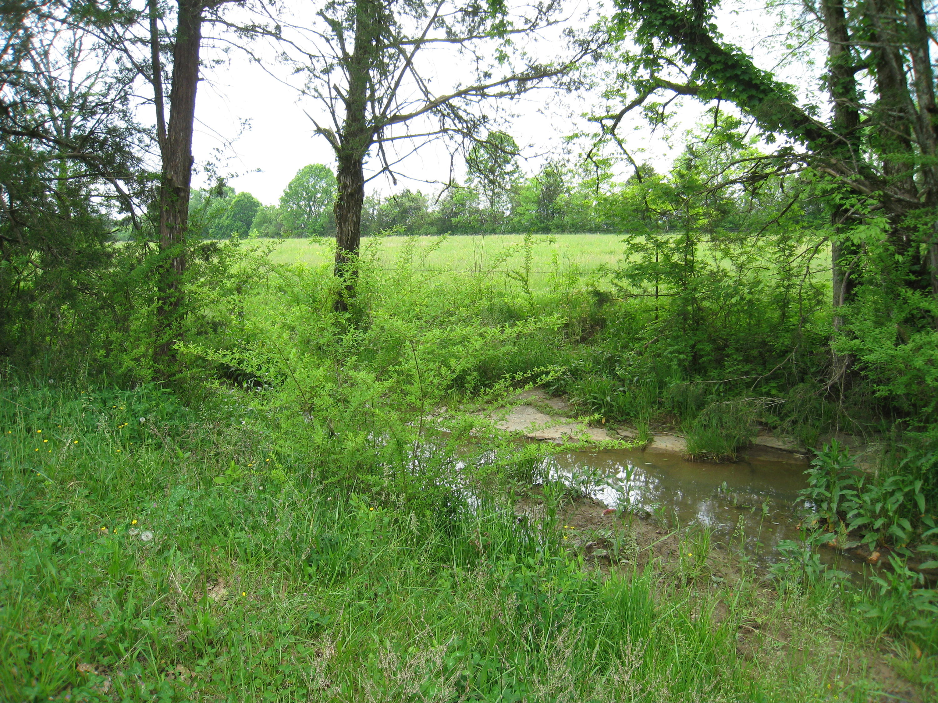 5015 Gamble Road Georgetown, TN 37336 - Photo 13 of 19 IMG_2414