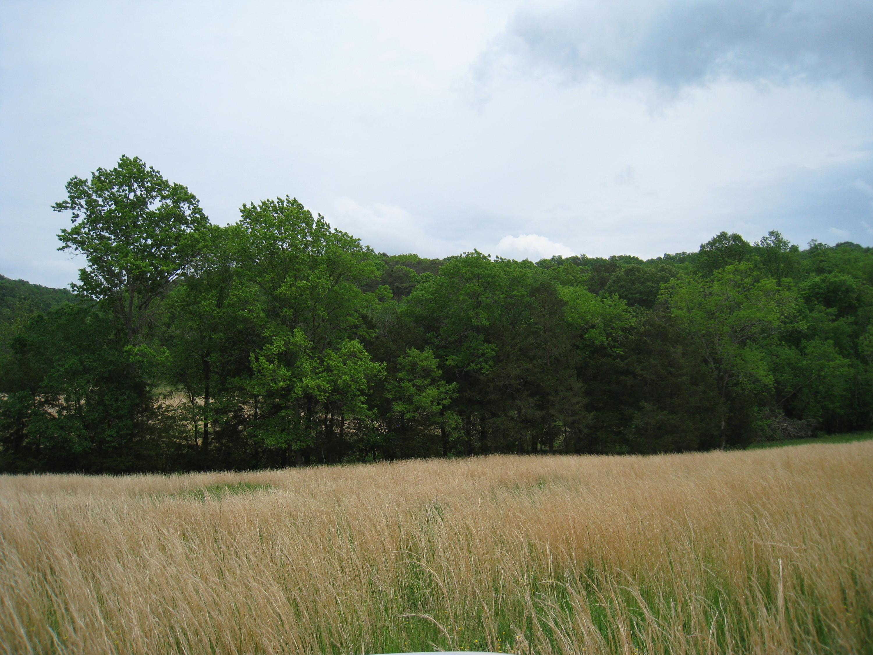 5015 Gamble Road Georgetown, TN 37336 - Photo 18 of 19 IMG_2426