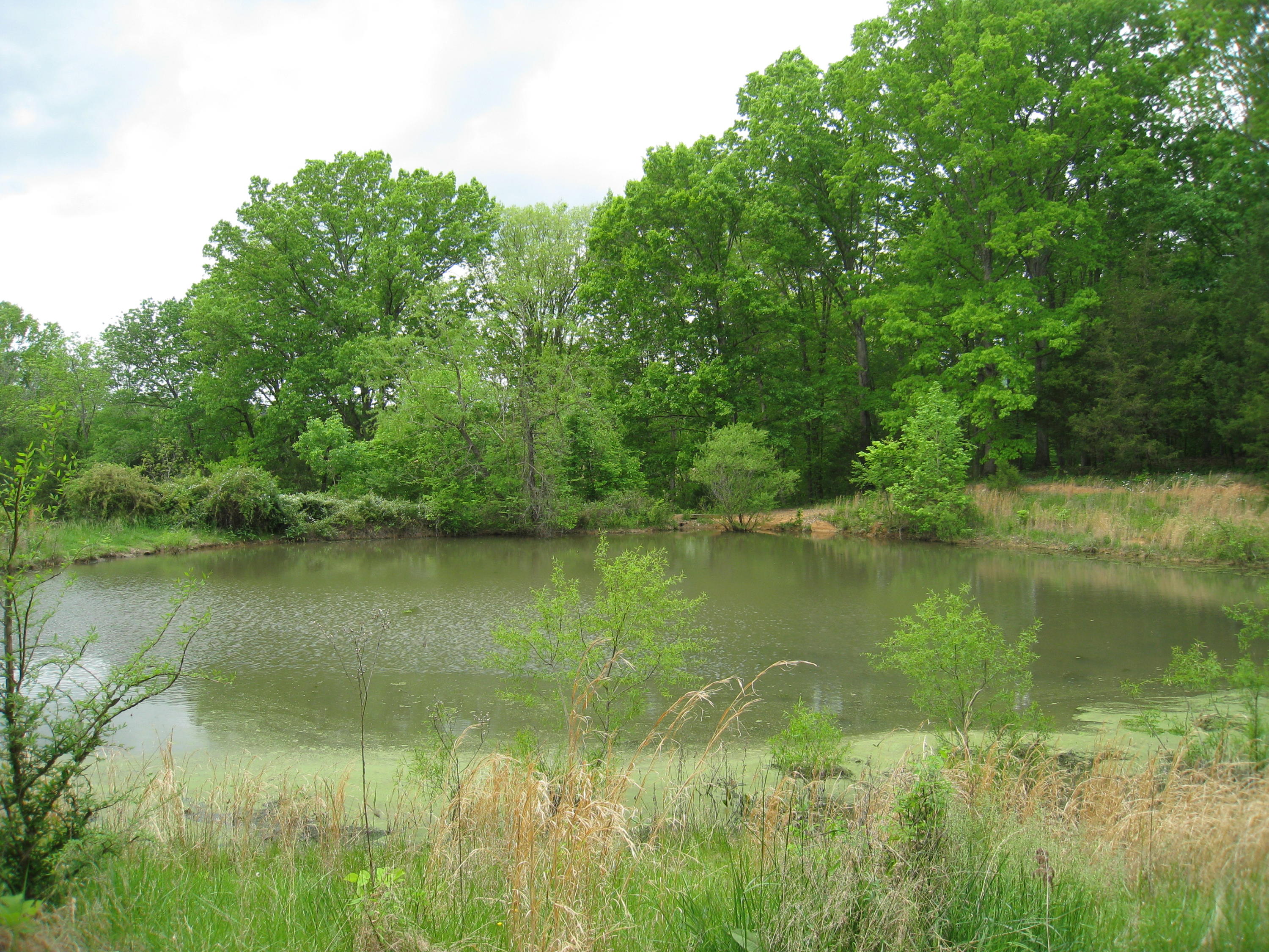 5015 Gamble Road Georgetown, TN 37336 - Photo 3 of 19 IMG_2431