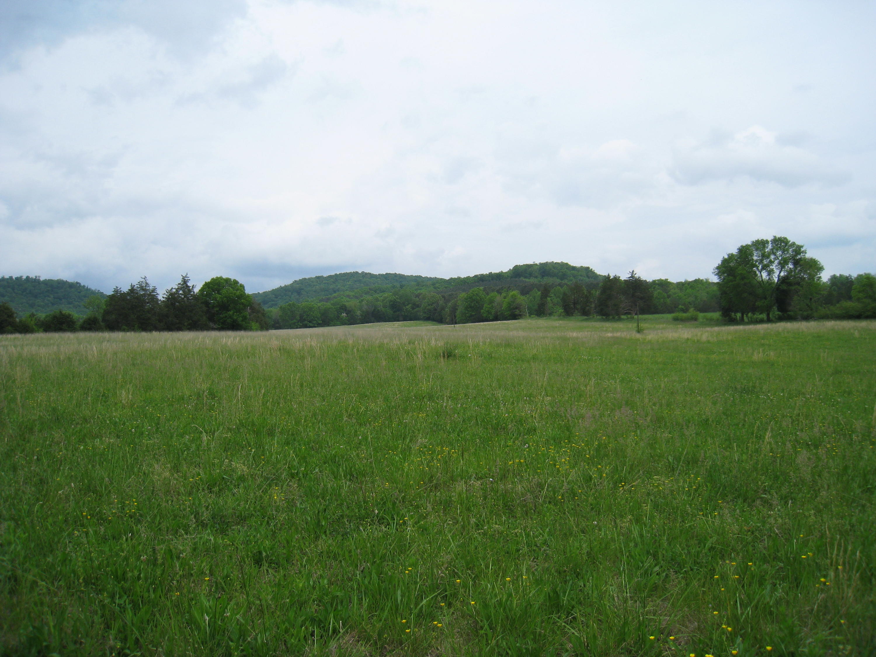 5015 Gamble Road Georgetown, TN 37336 - Photo 5 of 19 IMG_2401