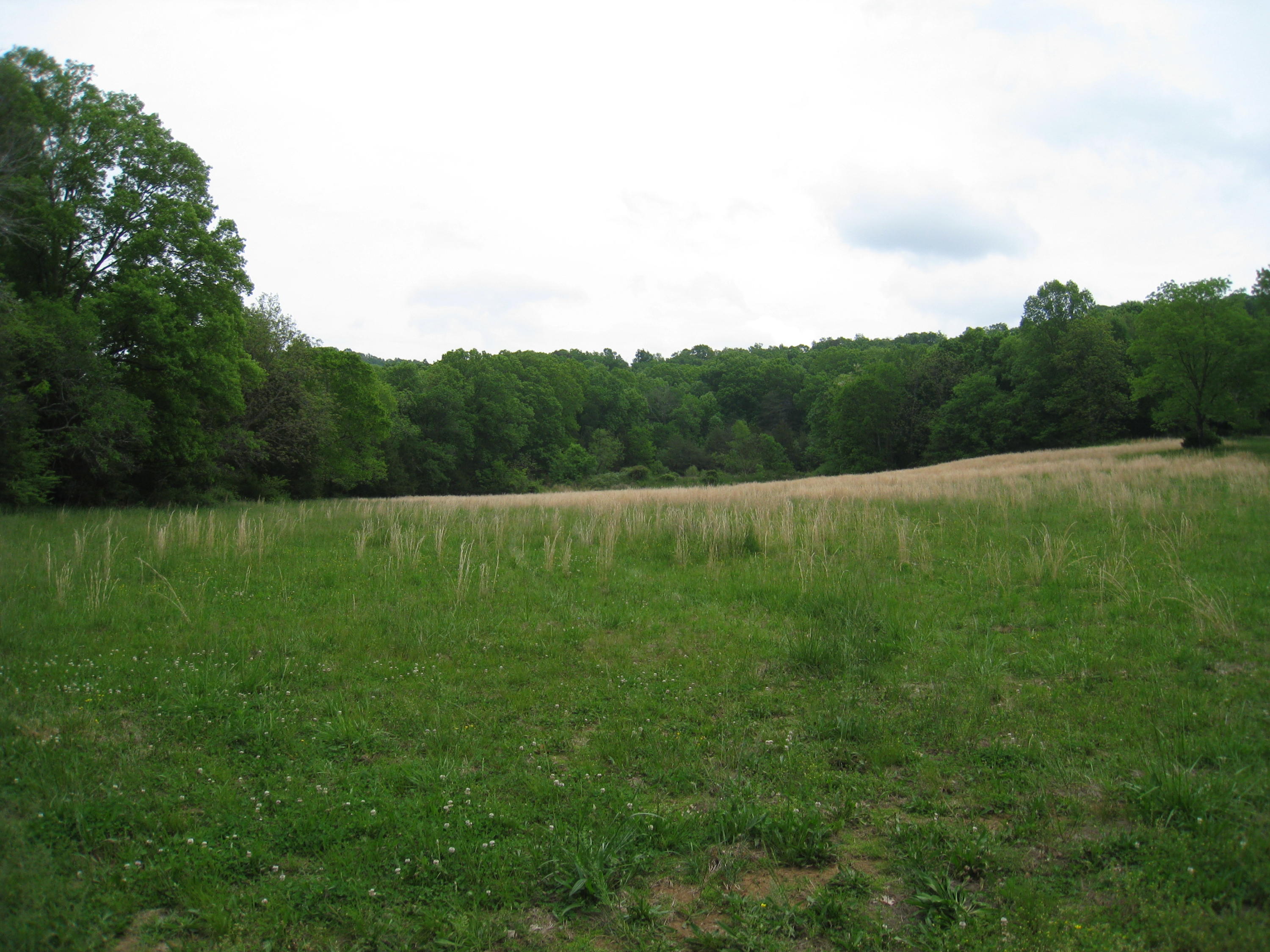 5015 Gamble Road Georgetown, TN 37336 - Photo 6 of 19 IMG_2404