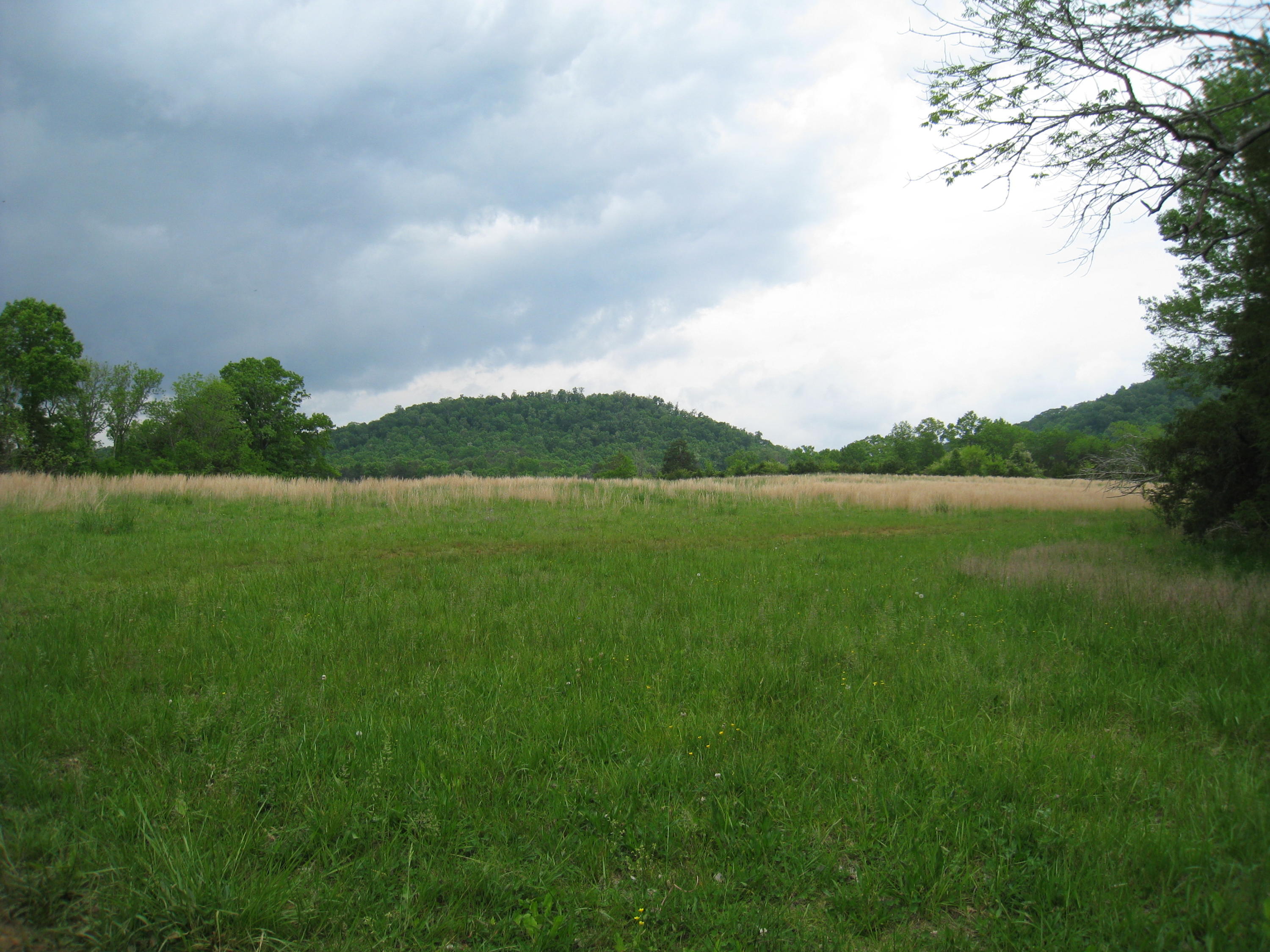 5015 Gamble Road Georgetown, TN 37336 - Photo 9 of 19 IMG_2411