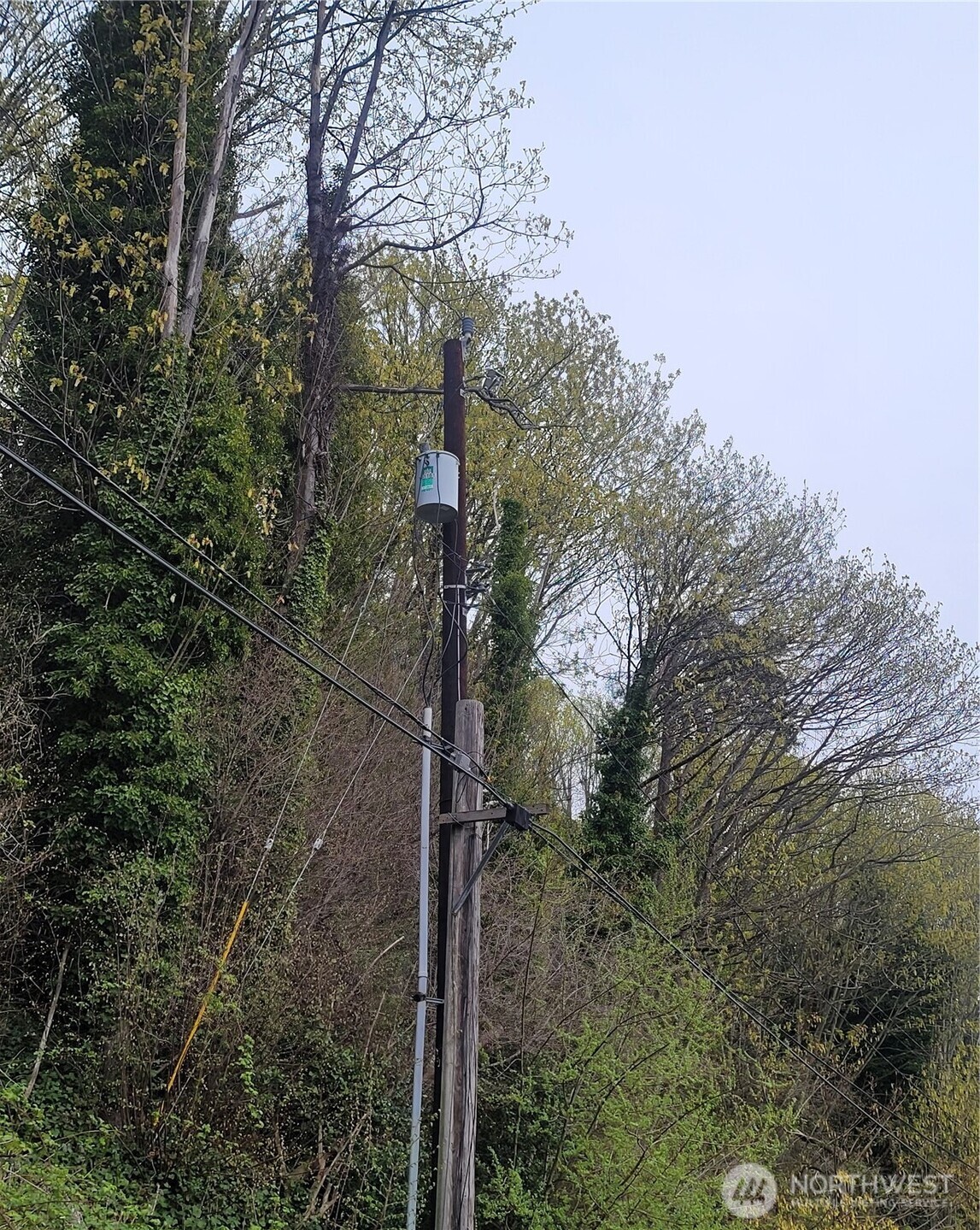 2318 Perkins Lane West Seattle, WA 98199 - Photo 7 of 10 a view of a forest from a tree