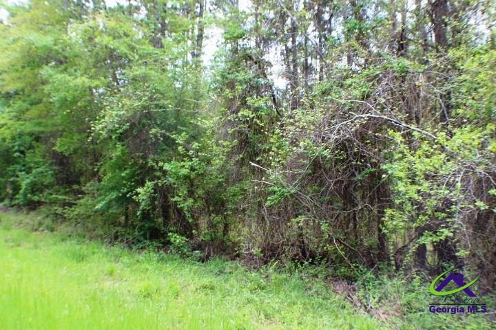 Lot 14 Payne Road Rentz, GA 31075 - Photo 2 of 8