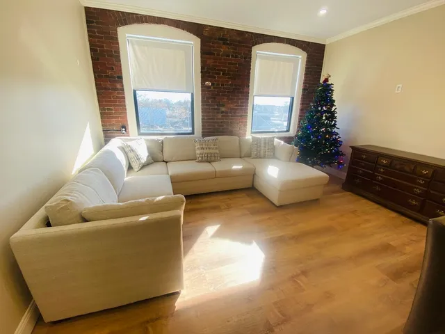 a living room with furniture and a potted plant
