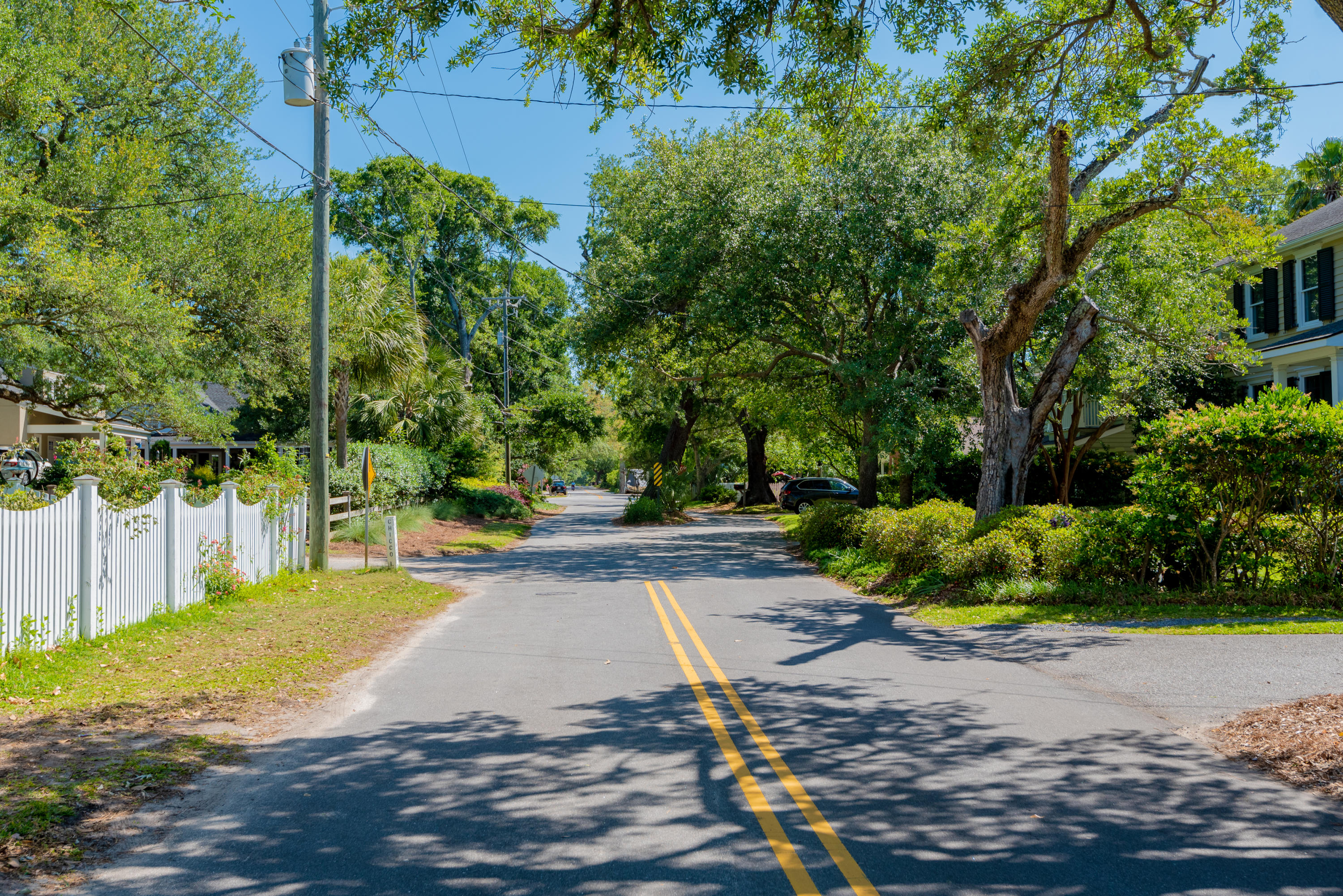 101 Middle Street Mount Pleasant, SC 29464 - Photo 63 of 66 Old Village Streetscape