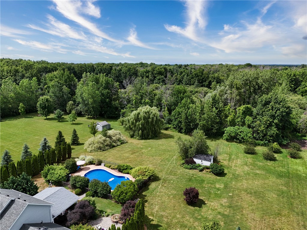 16235 Telegraph Road Murray, NY 14470 - Photo 43 of 45