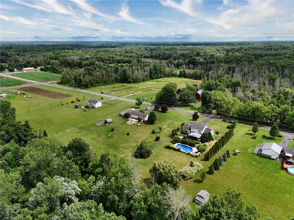 16235 Telegraph Road Murray, NY 14470 - Photo 44 of 45