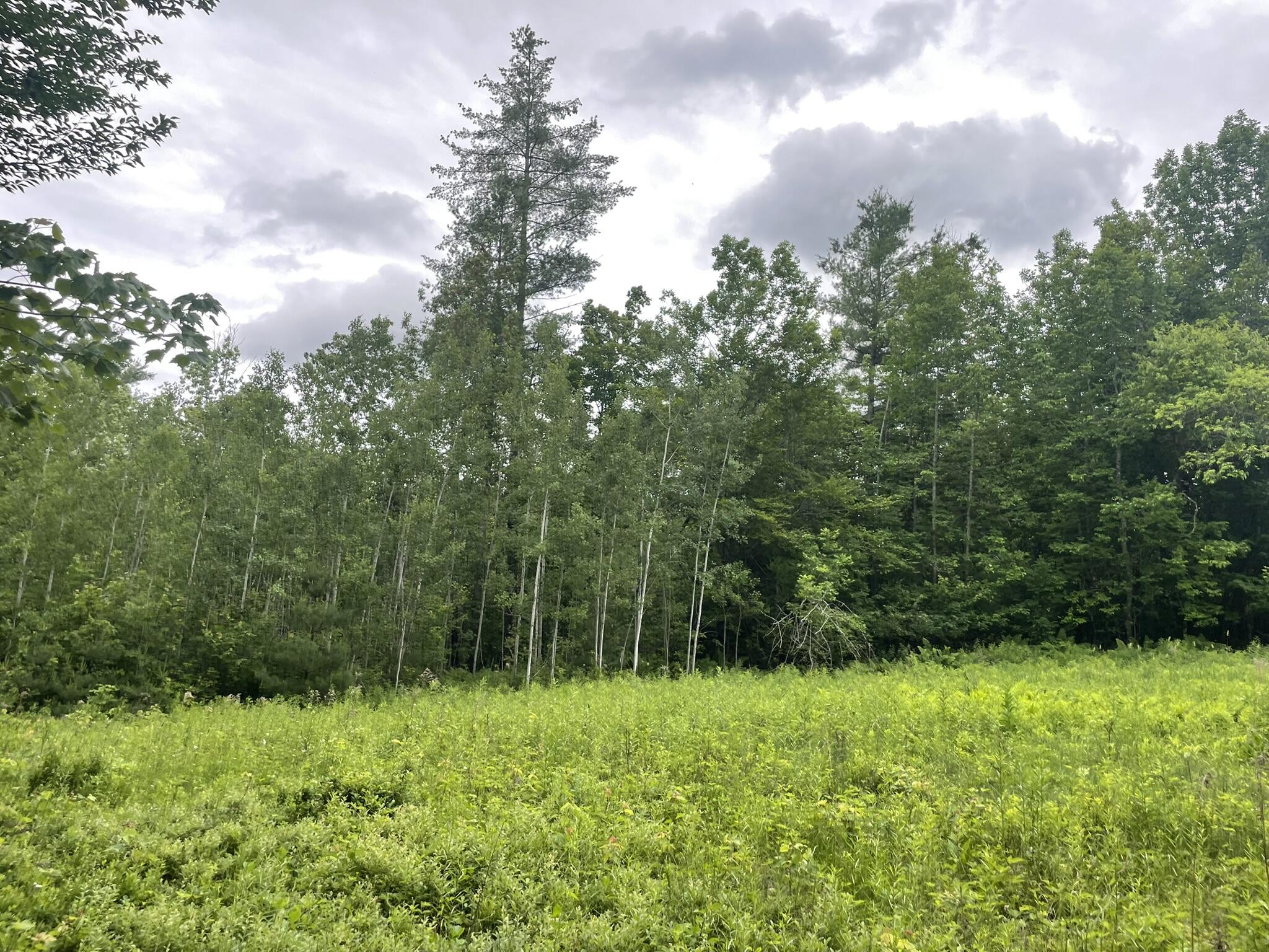 19 Swan Road New Sharon, ME 04955 - Photo 109 of 124 IMG_6312