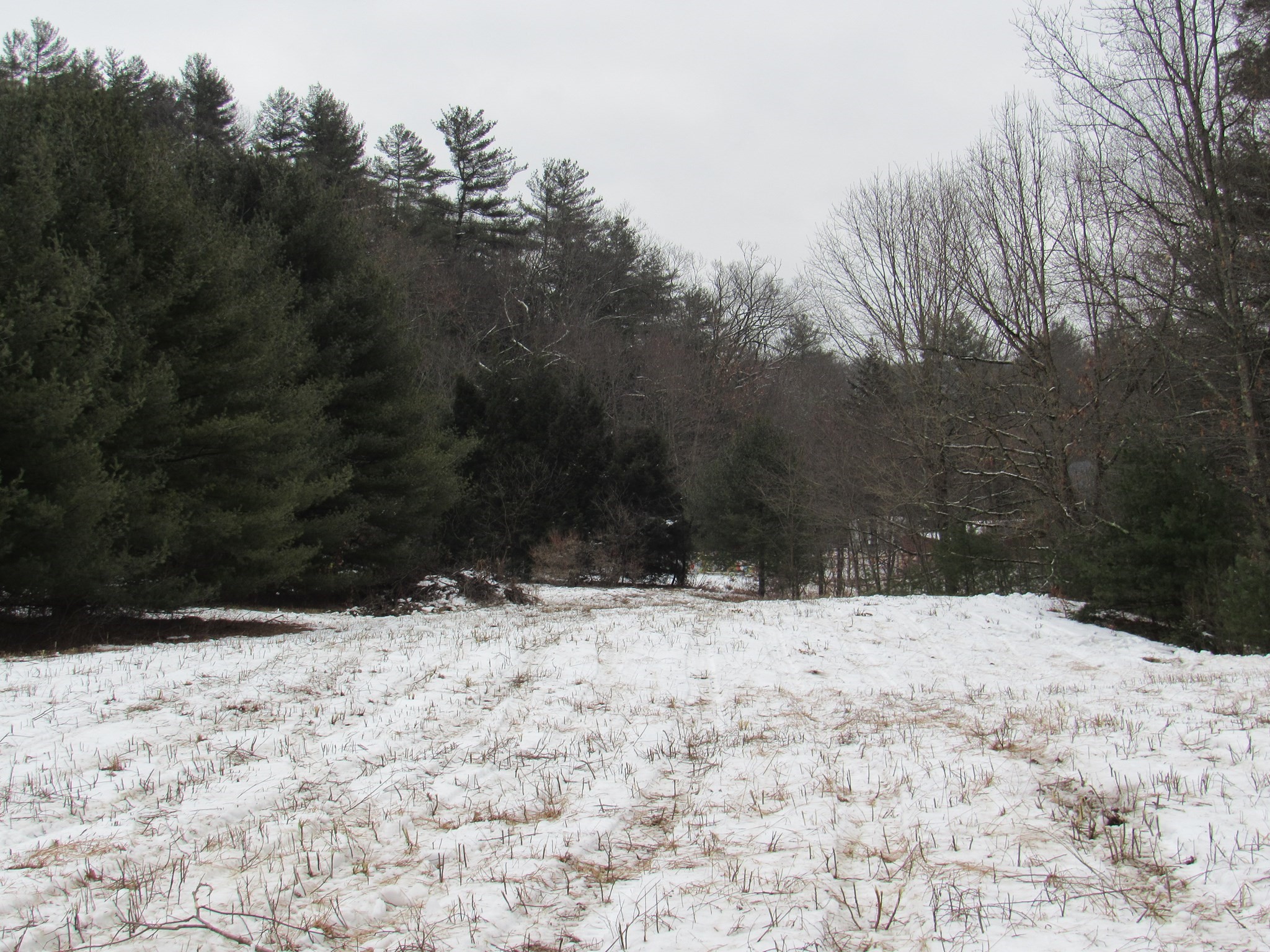 0 Thomas Road Huntington, MA 01050 - Photo 8 of 9 Gallery Image 8