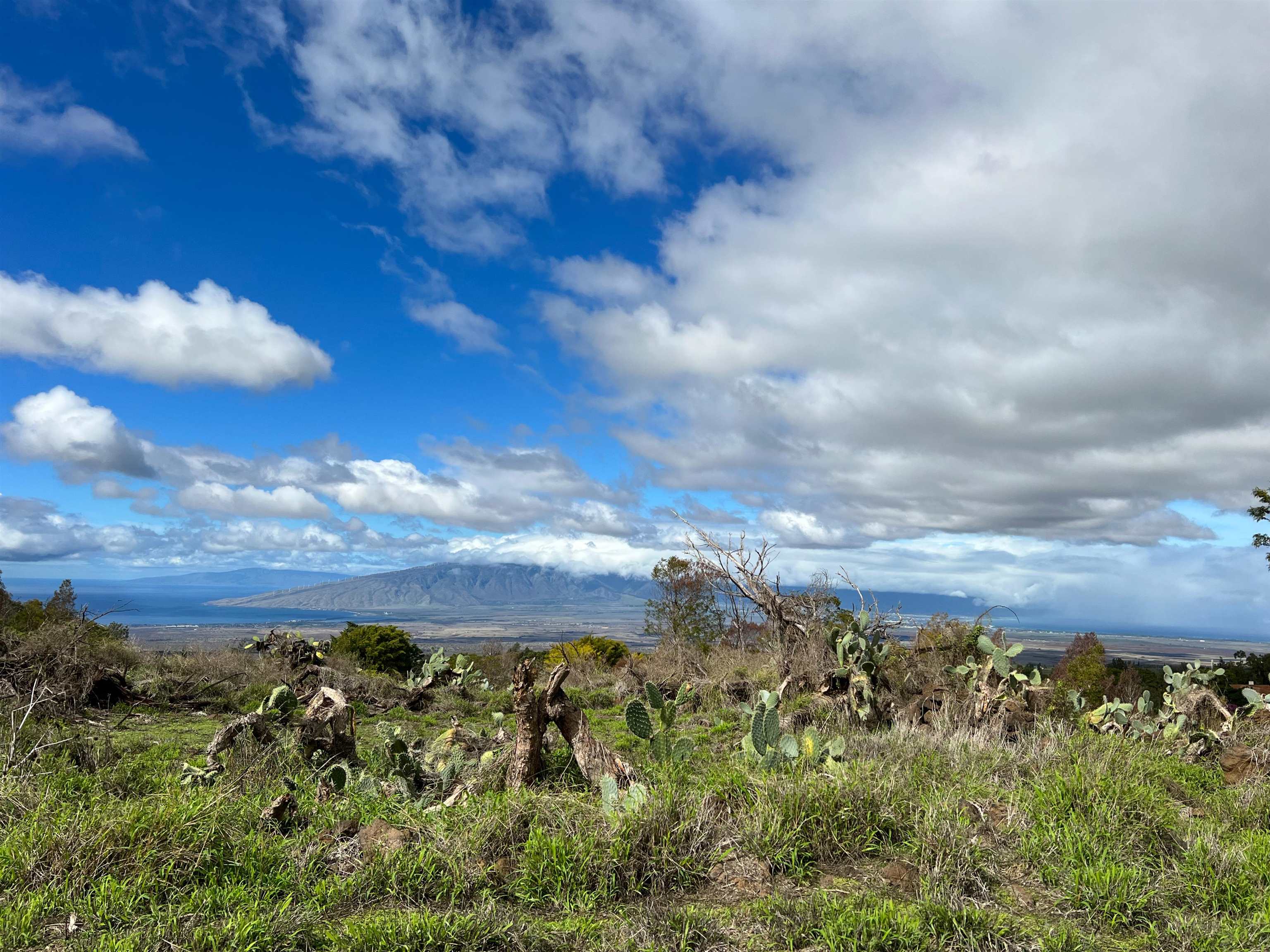 3402 Lower Kula Road Kula, HI 96790 - Photo 1 of 30 View from Ohana deck