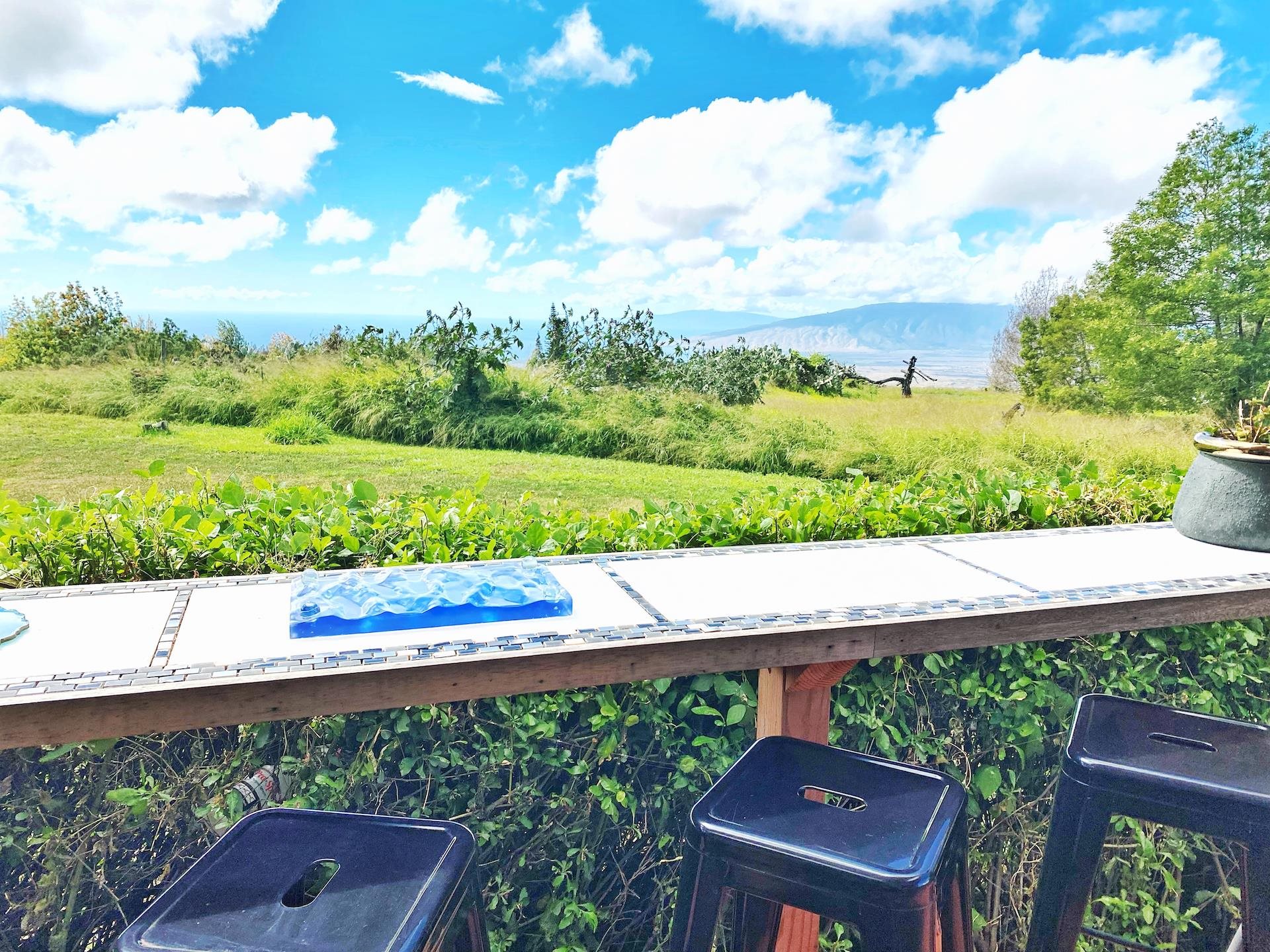 3402 Lower Kula Road Kula, HI 96790 - Photo 26 of 30