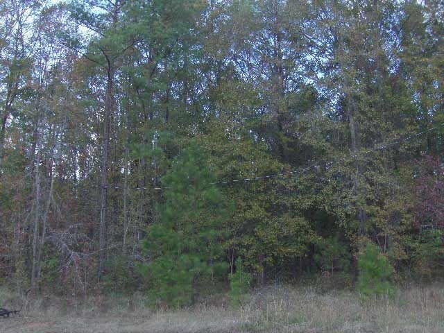 441 Rocker Road, Unit LOT 37 Greenville, GA 30222 - Photo 1 of 1 Gallery Image 1