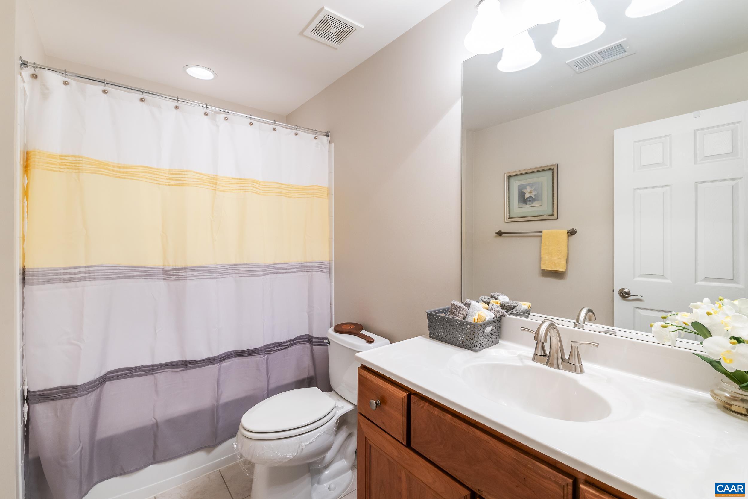329 John Rucker Drive Ruckersville, VA 22968 - Photo 51 of 75 Basement Full Bath