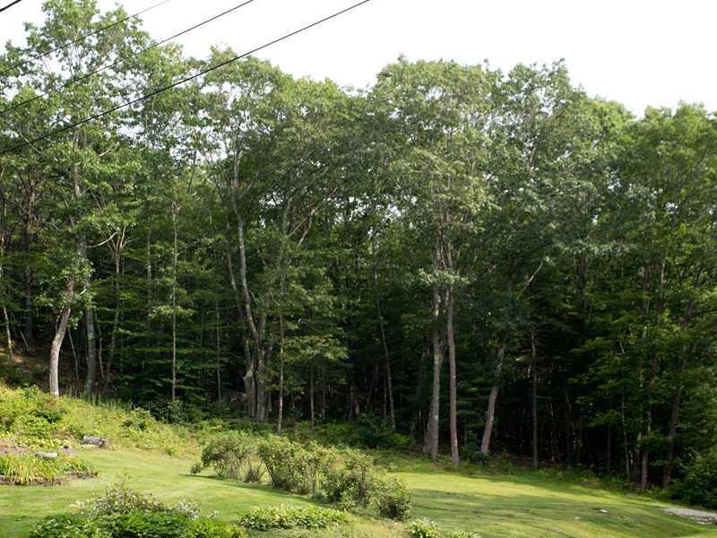 14 Carriage Road Freeport, ME 04032 - Photo 9 of 18 Yard/Garden.