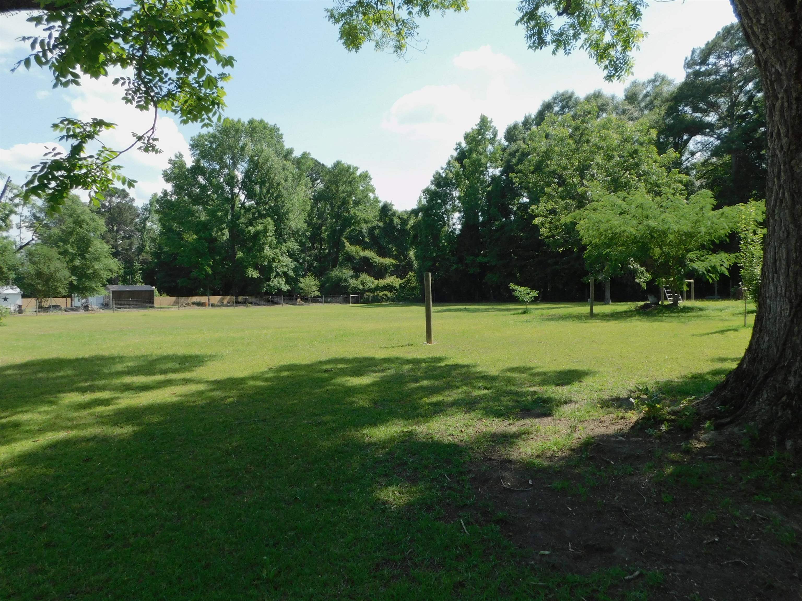 125 Hawkins Road Dozier, AL 36028 - Photo 4 of 16 Gallery Image 4
