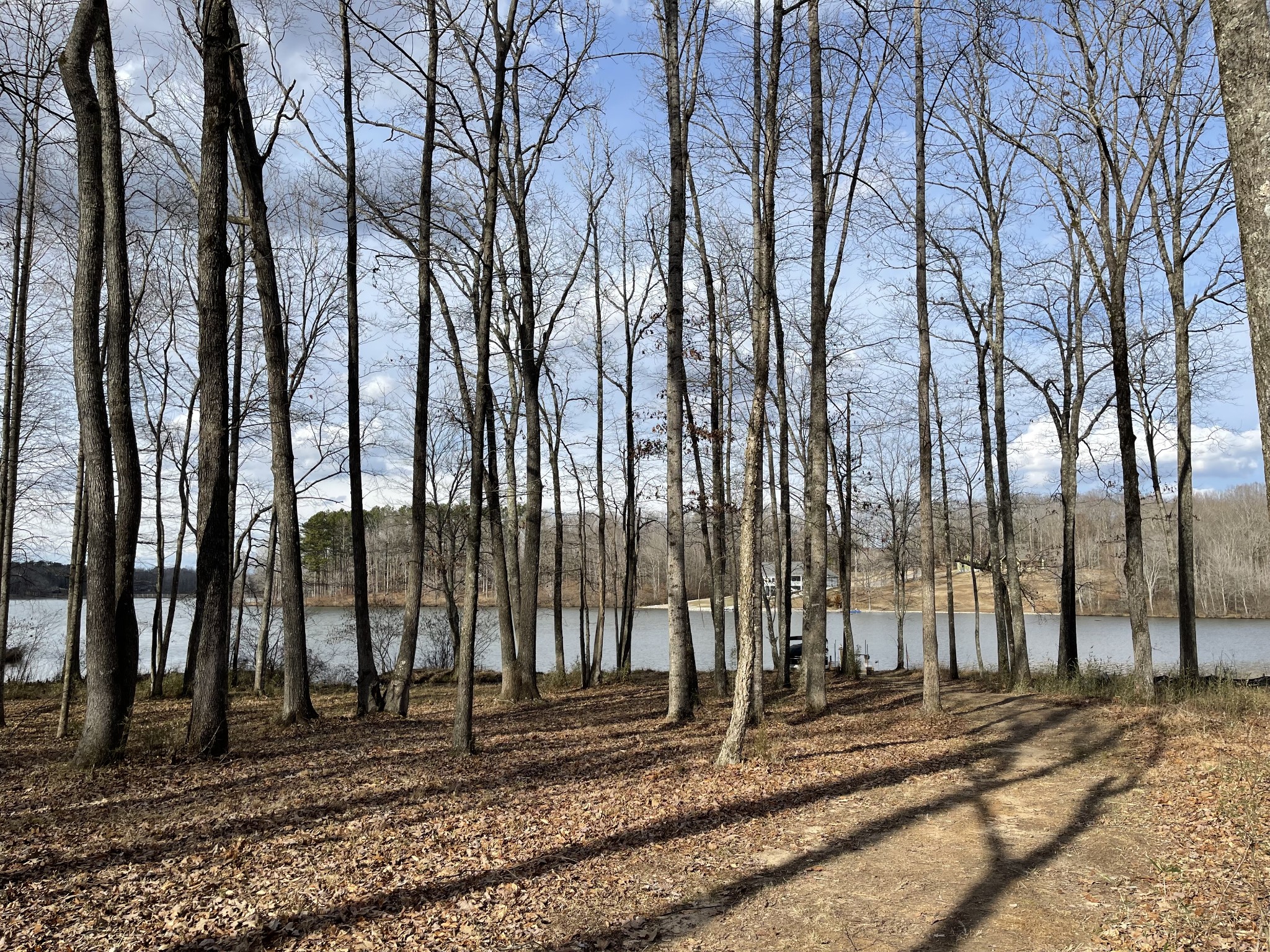 1751 Excalibur Trail Cedar Grove, TN 38321 - Photo 40 of 47