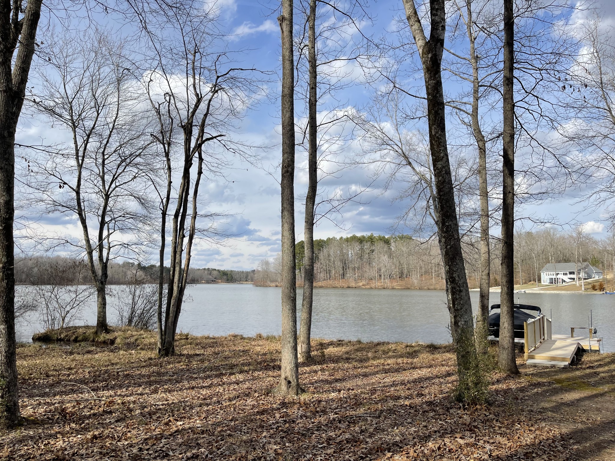 1751 Excalibur Trail Cedar Grove, TN 38321 - Photo 45 of 47 a backyard of a house with large trees