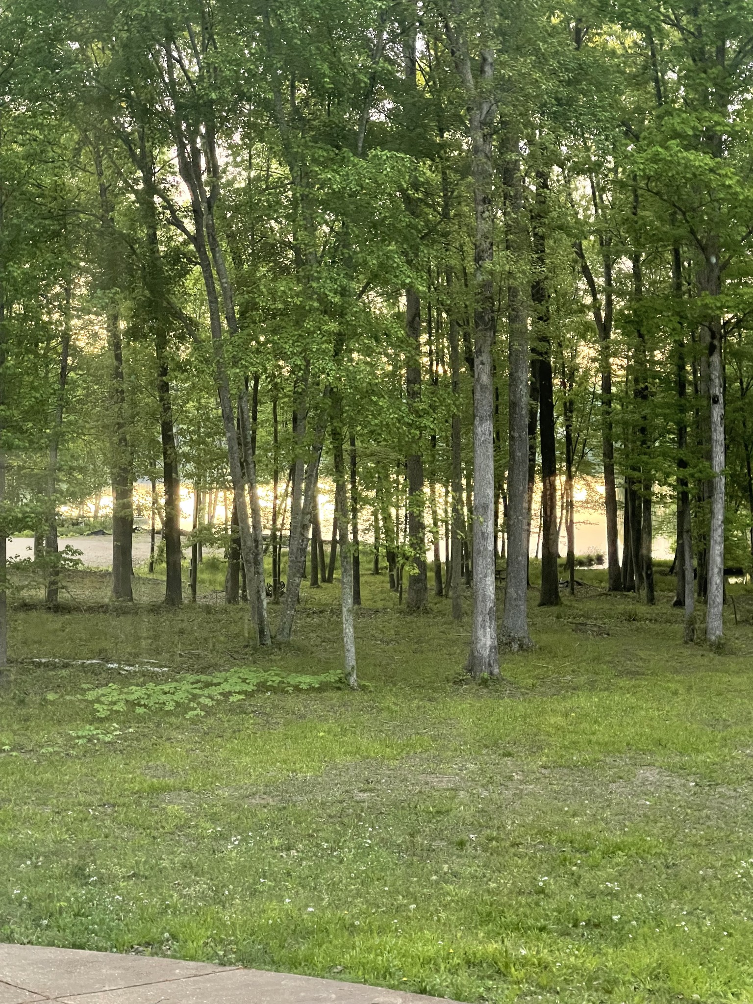 1751 Excalibur Trail Cedar Grove, TN 38321 - Photo 9 of 47 a backyard of a house with lots of green space