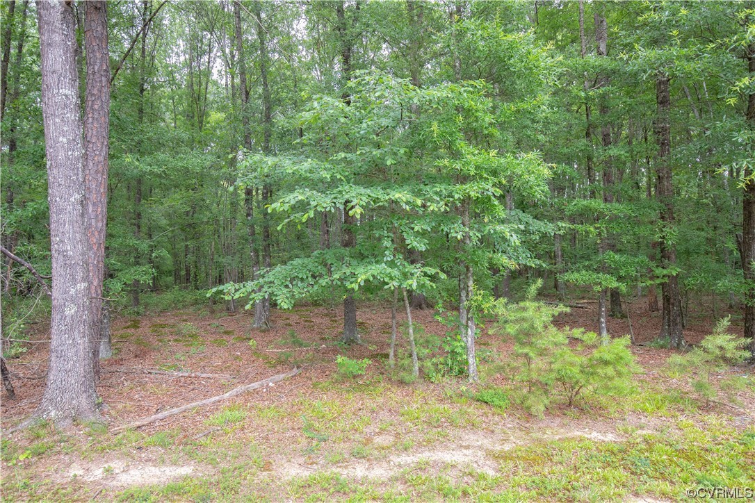 5316 Cartersville Road Powhatan, VA 23139 - Photo 17 of 21 View of nature