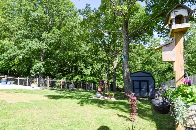 a view of a backyard with a garden and trees