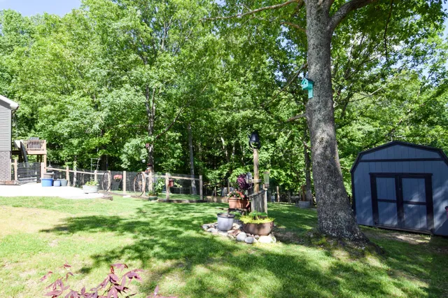a view of a small house with yard and a tree