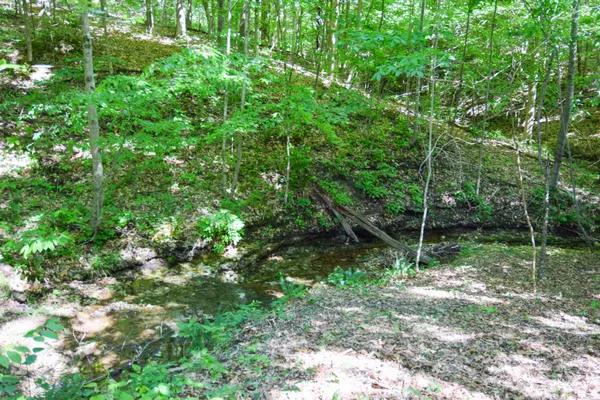 $369,900 | 421 Marlin Lane, Westmoreland, TN 37186