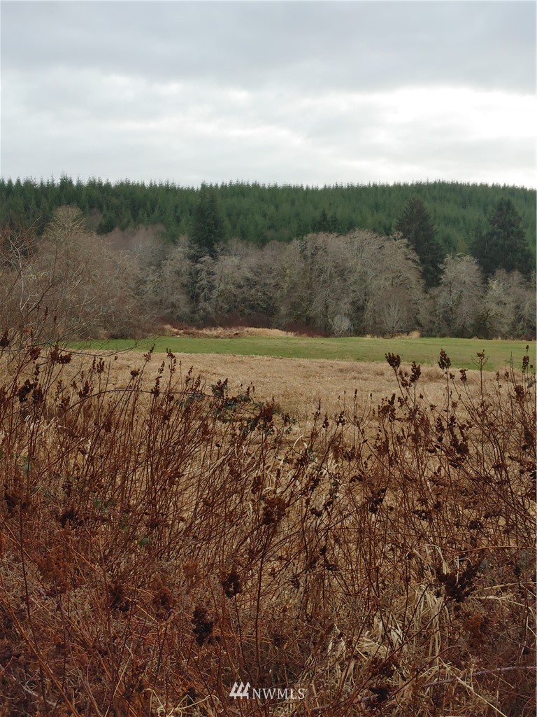 18-xx North River Road Cosmopolis, WA 98537 - Photo 1 of 15 Gallery Image 1