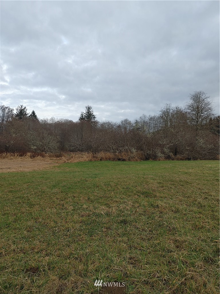 18-xx North River Road Cosmopolis, WA 98537 - Photo 3 of 15 Gallery Image 3